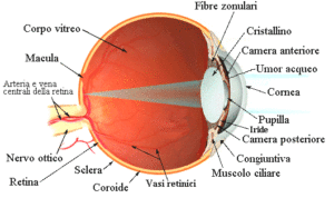 chirurgia cataratta